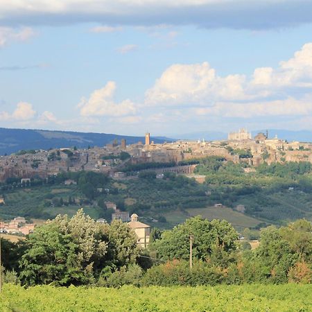 Agriturismo Borgo Pirolino オルヴィエート エクステリア 写真