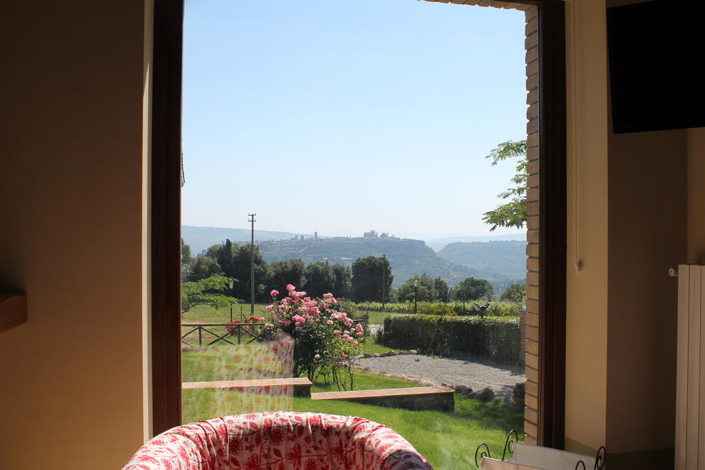 Agriturismo Borgo Pirolino オルヴィエート 部屋 写真